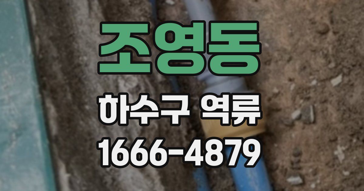 조영동 하수구 역류
