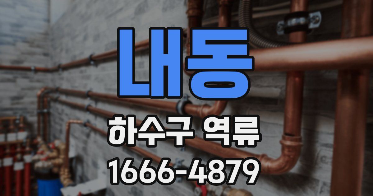 내동 하수구 역류