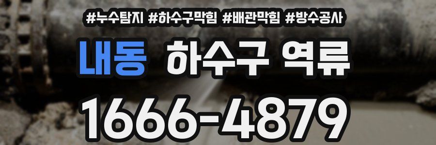 내동 하수구 역류