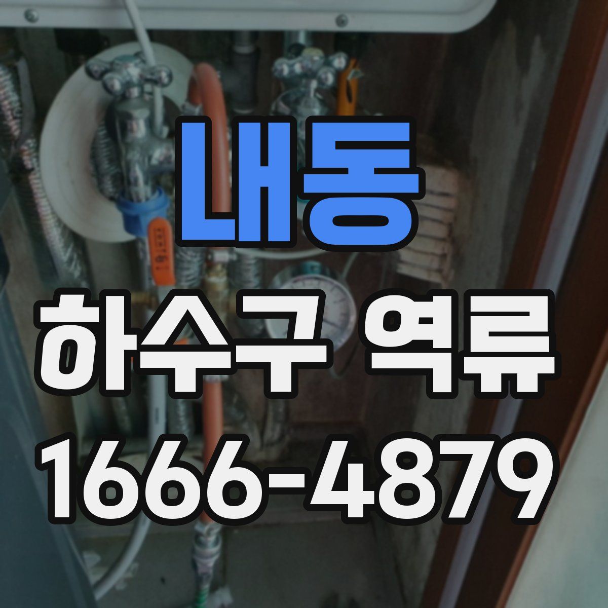 내동 하수구 역류