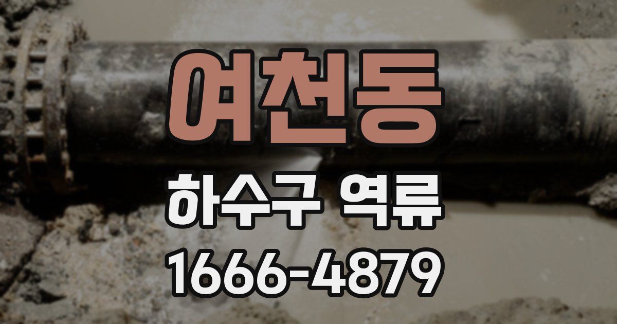 여천동 하수구 역류