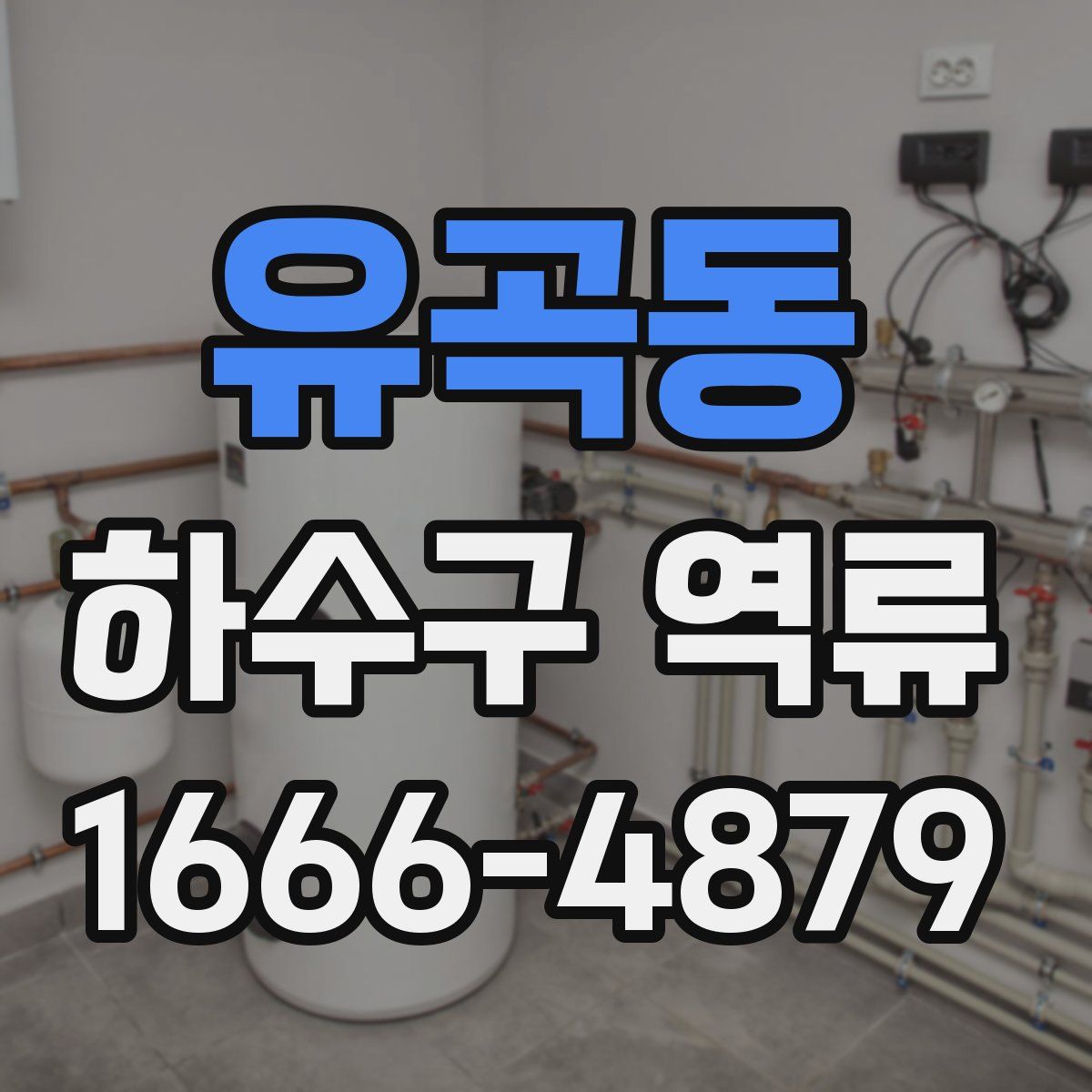 유곡동 하수구 역류