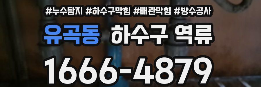 유곡동 하수구 역류