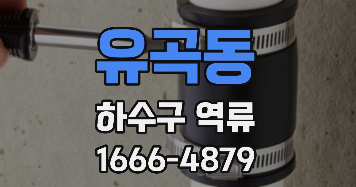 유곡동 하수구 역류