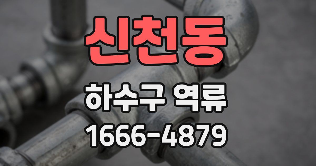 신천동 하수구 역류