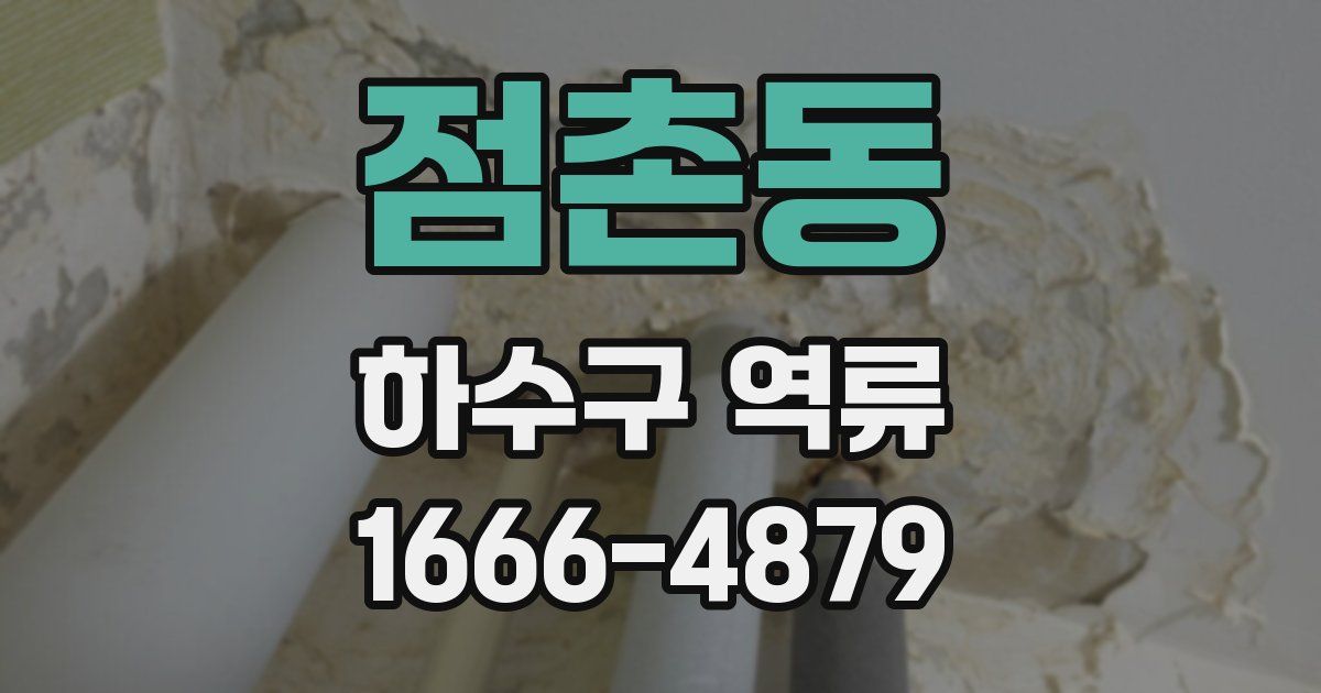 점촌동 하수구 역류