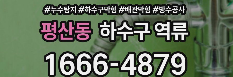 평산동 하수구 역류
