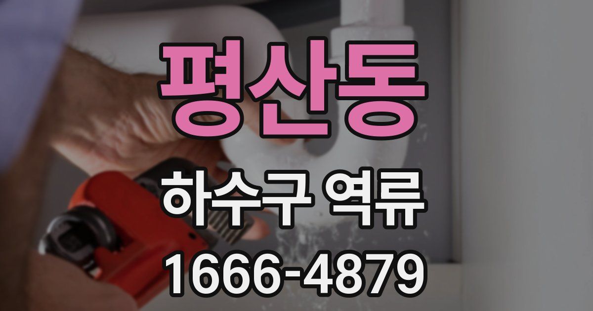 평산동 하수구 역류