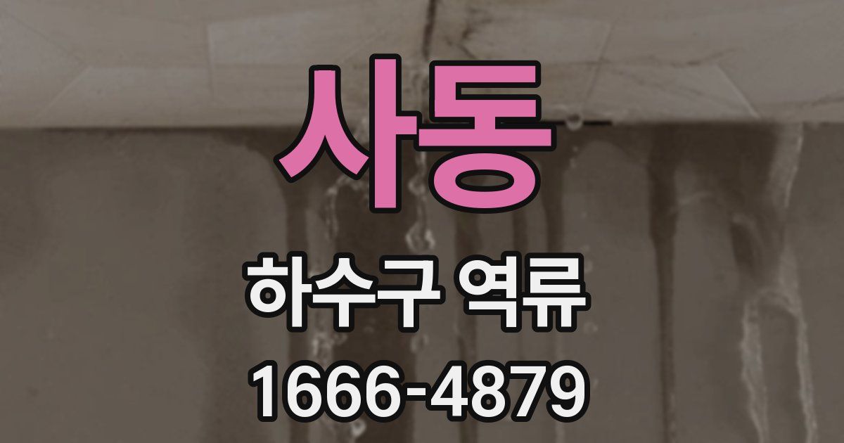 사동 하수구 역류