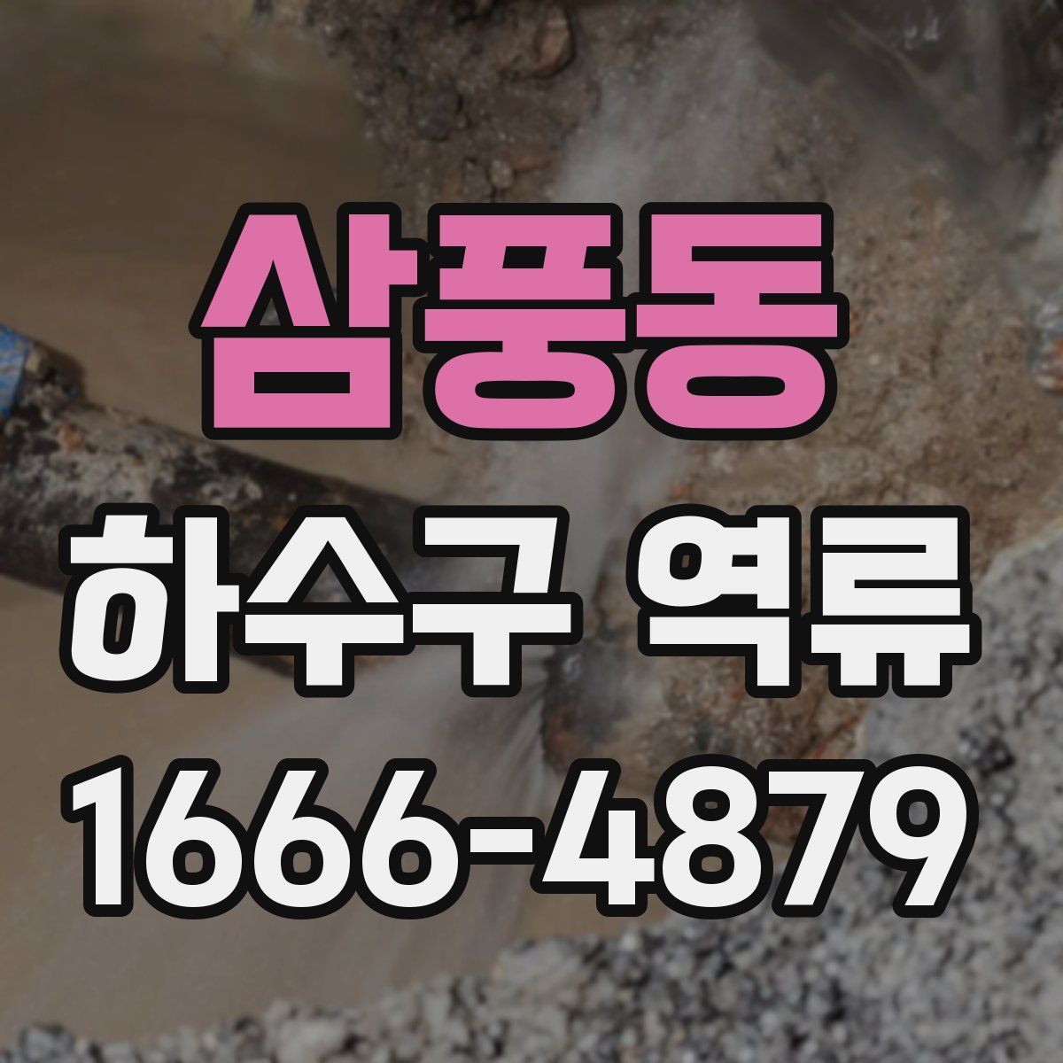 삼풍동 하수구 역류