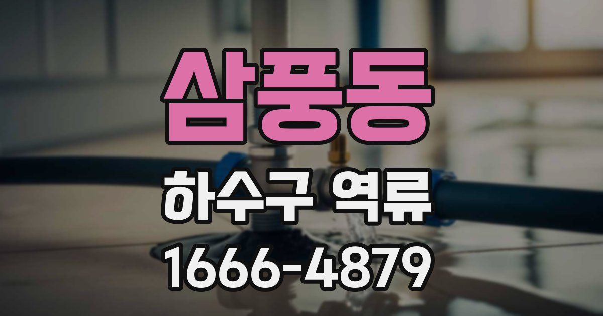삼풍동 하수구 역류