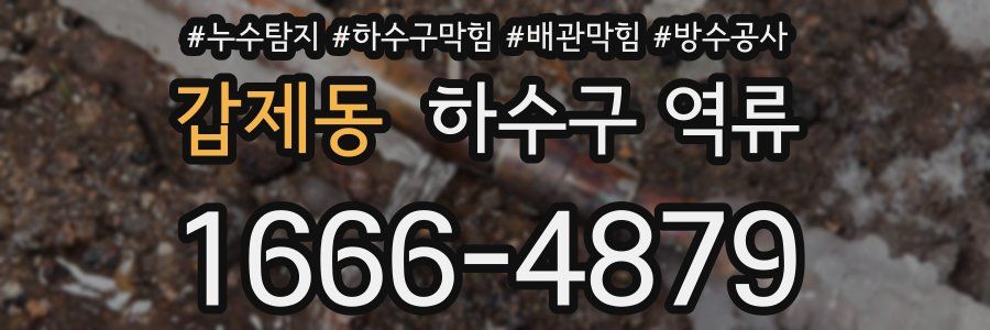 갑제동 하수구 역류