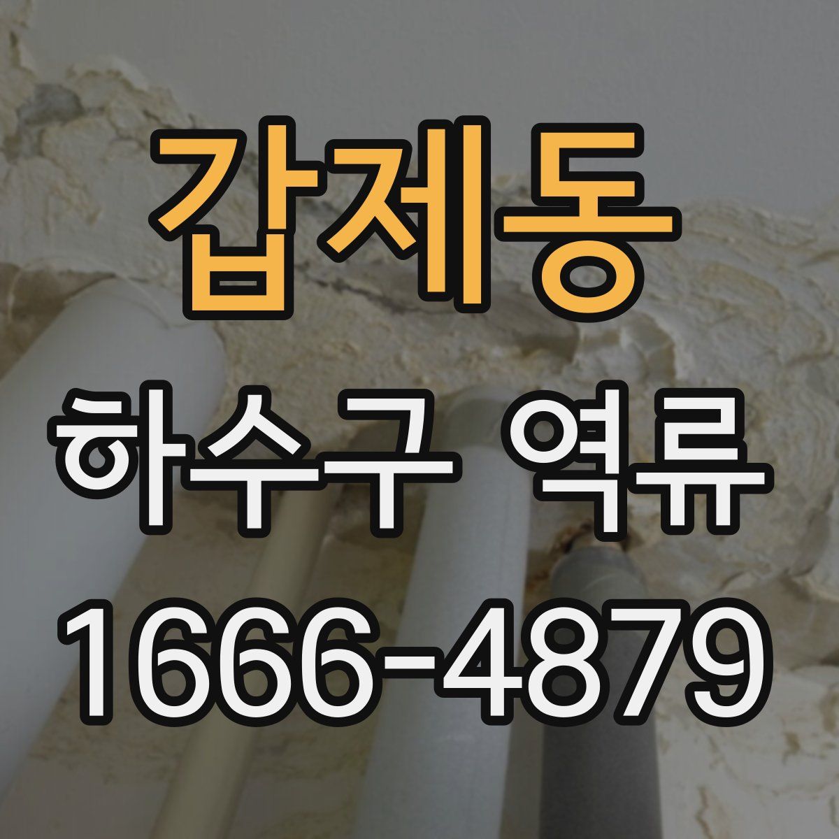 갑제동 하수구 역류