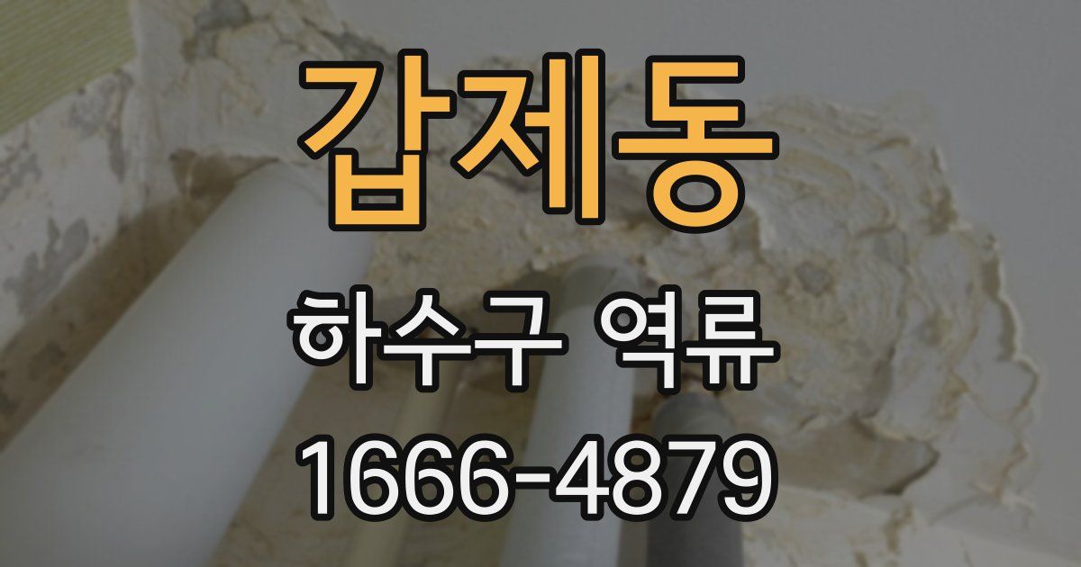 갑제동 하수구 역류
