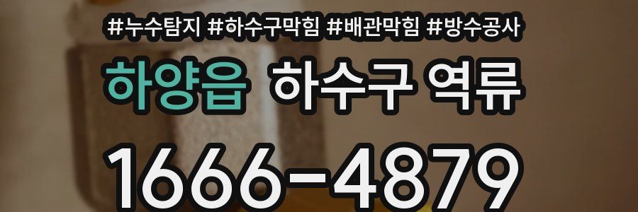 하양읍 하수구 역류