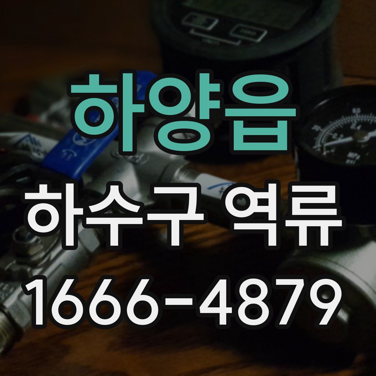 하양읍 하수구 역류