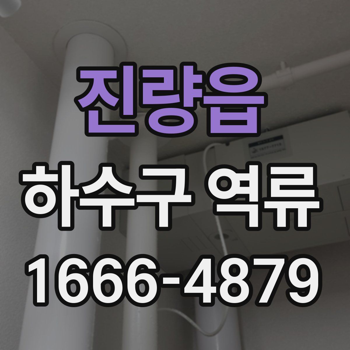 진량읍 하수구 역류
