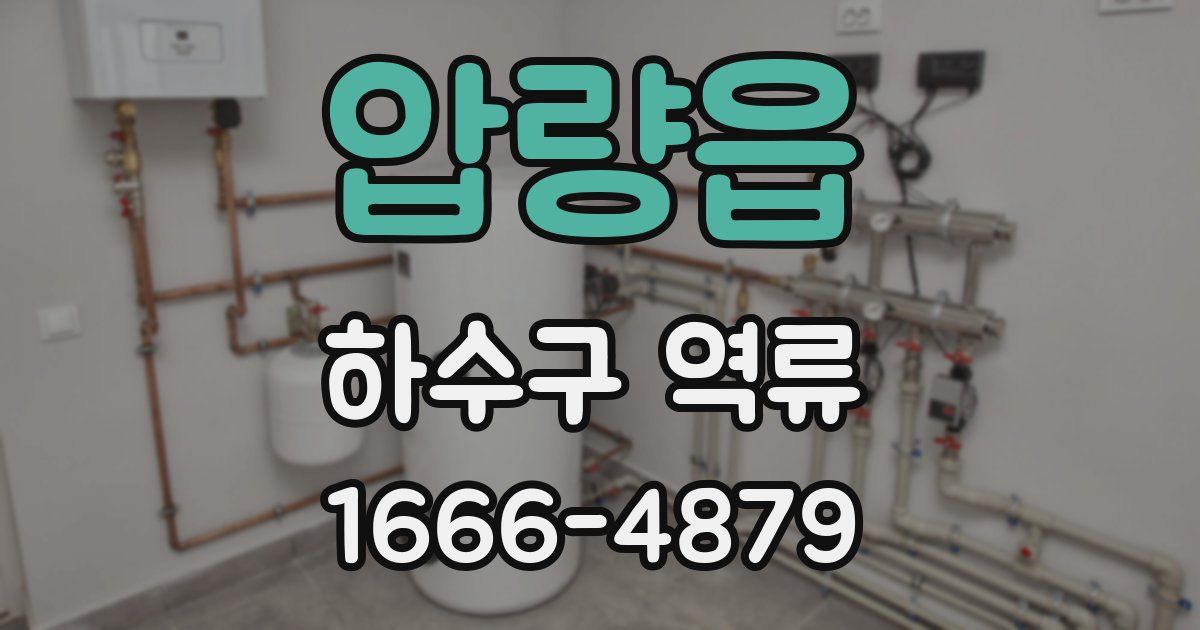 압량읍 하수구 역류