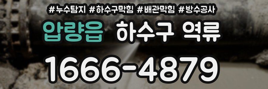 압량읍 하수구 역류