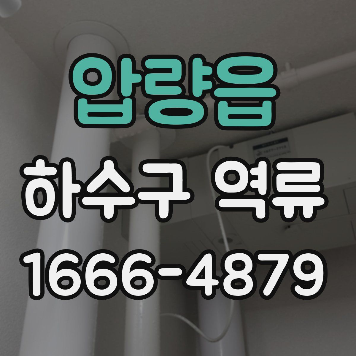 압량읍 하수구 역류