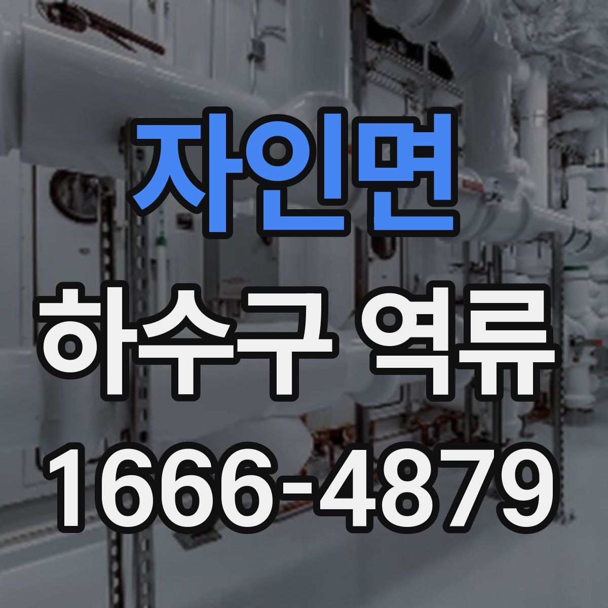 자인면 하수구 역류
