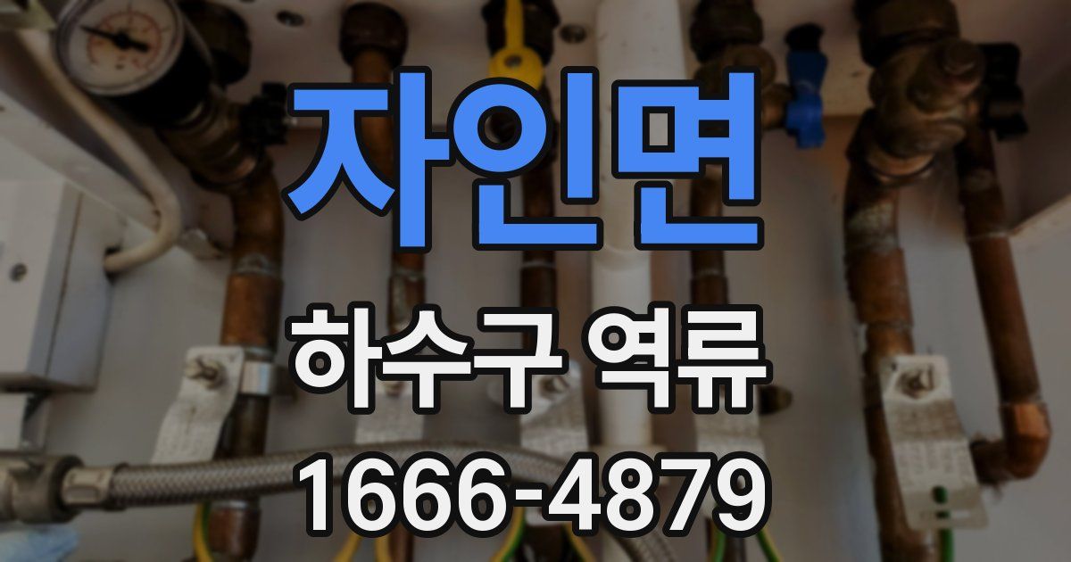 자인면 하수구 역류