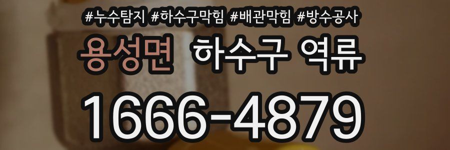 용성면 하수구 역류