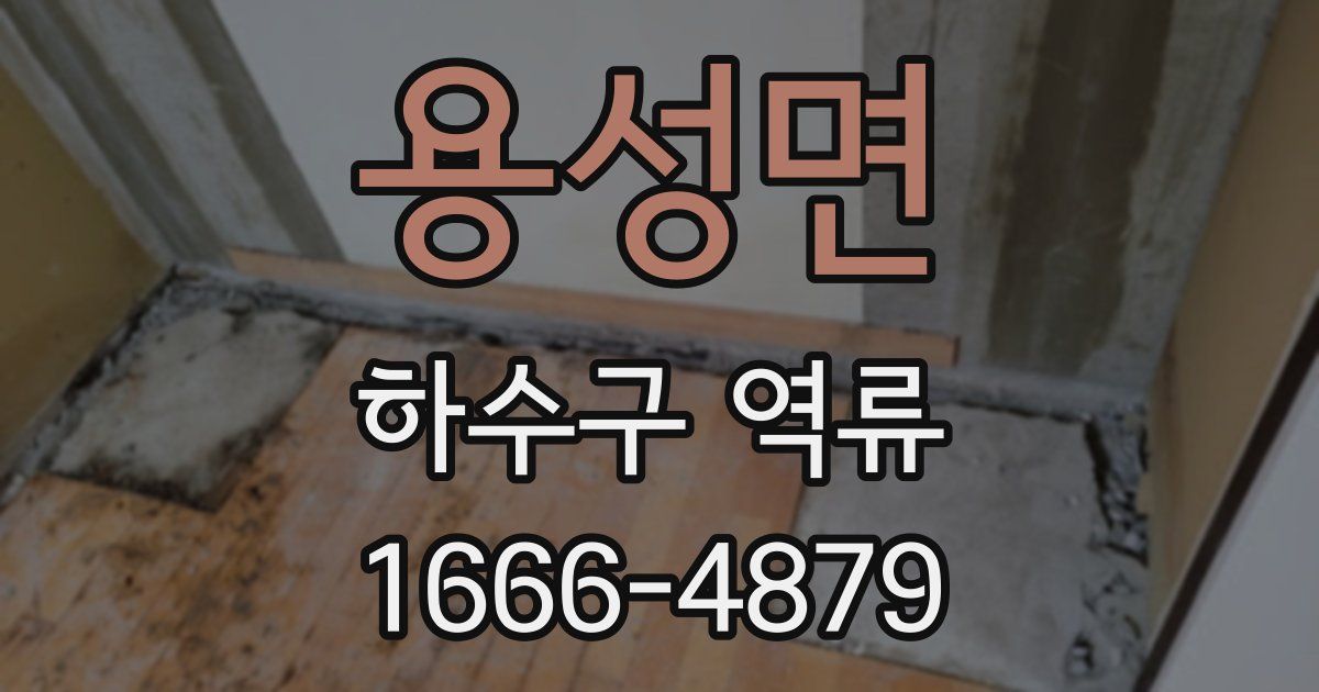 용성면 하수구 역류