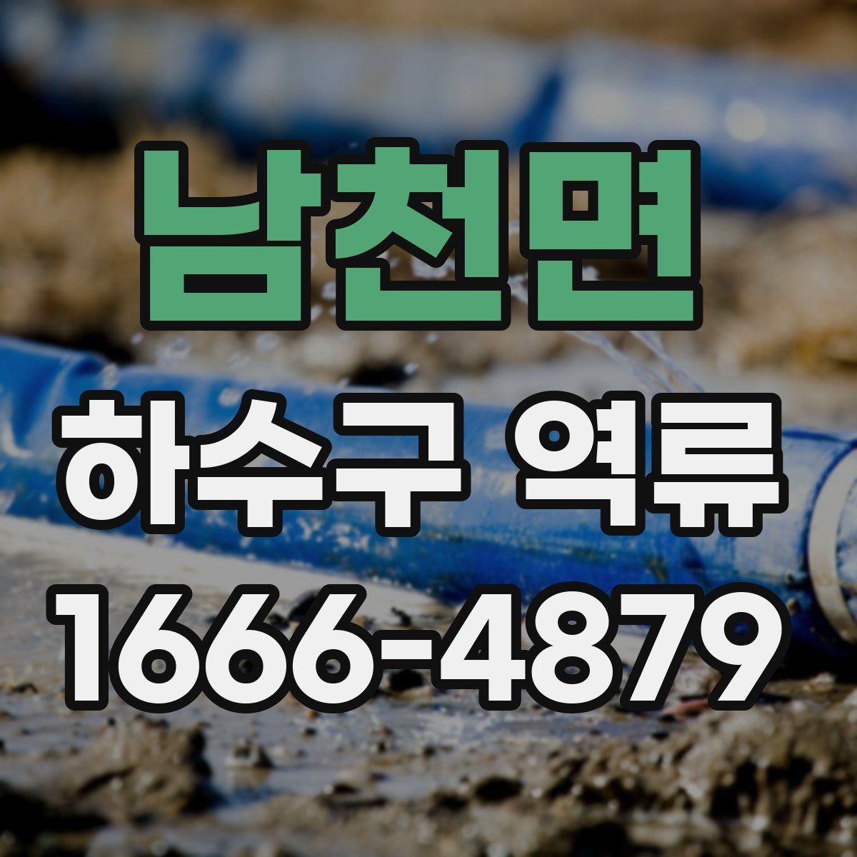 남천면 하수구 역류