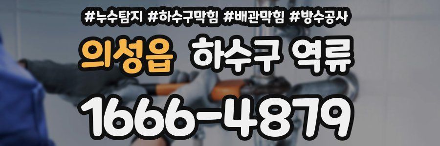 의성읍 하수구 역류