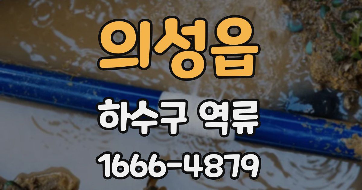 의성읍 하수구 역류