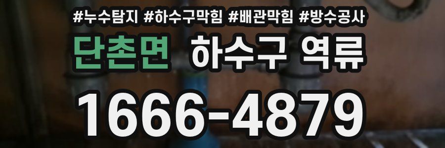 단촌면 하수구 역류