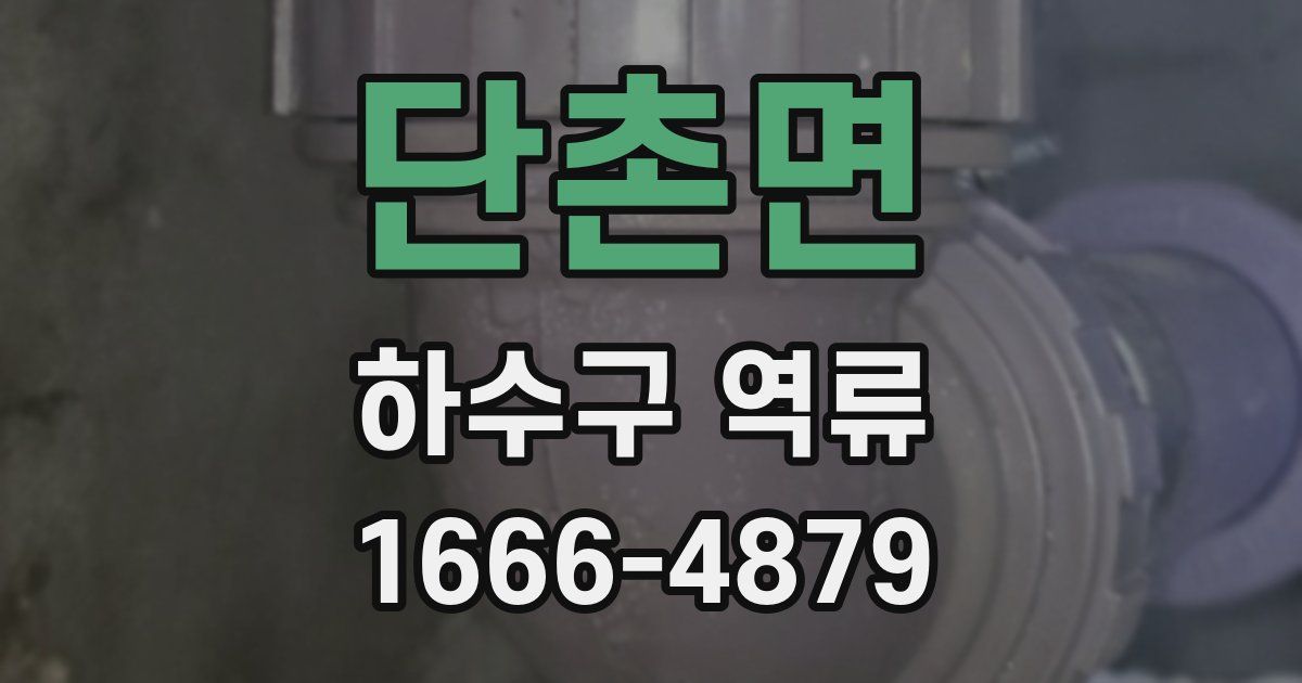 단촌면 하수구 역류