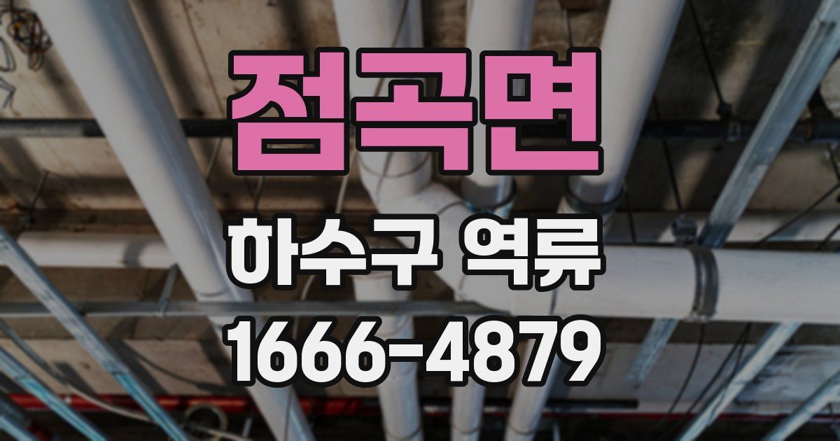 점곡면 하수구 역류