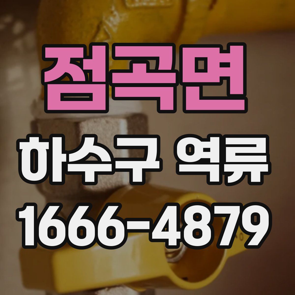 점곡면 하수구 역류