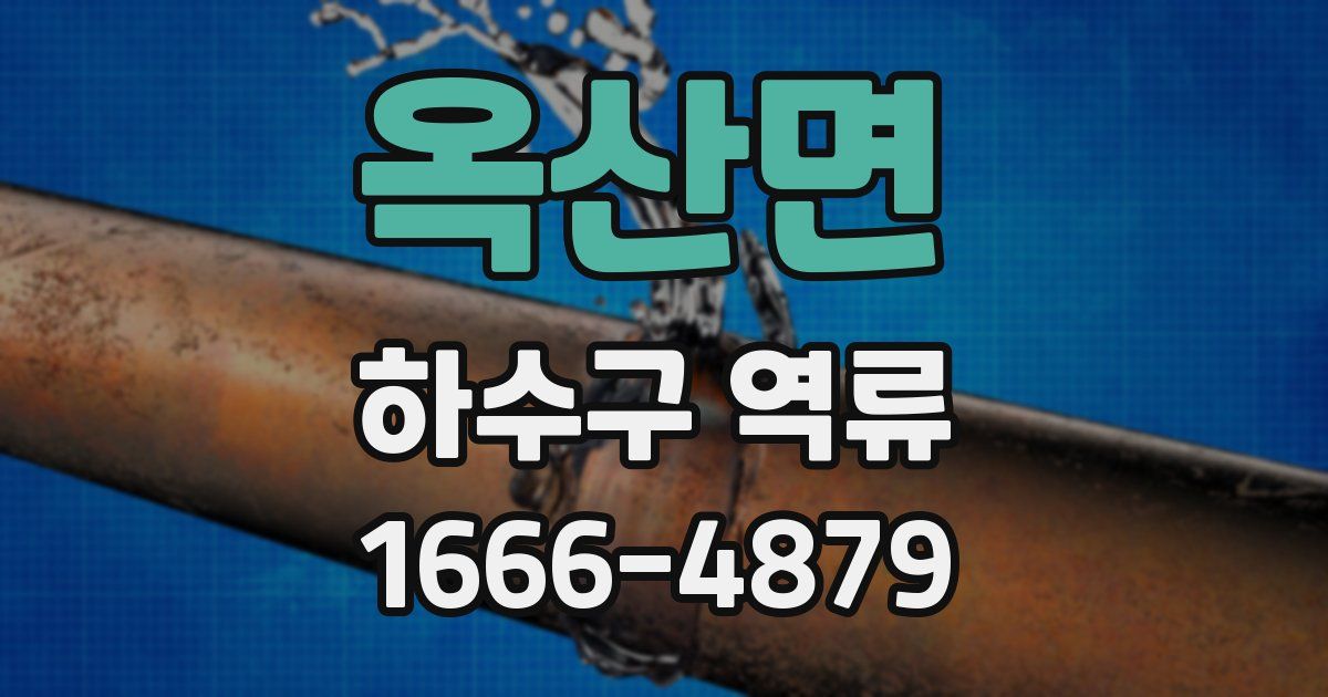 옥산면 하수구 역류