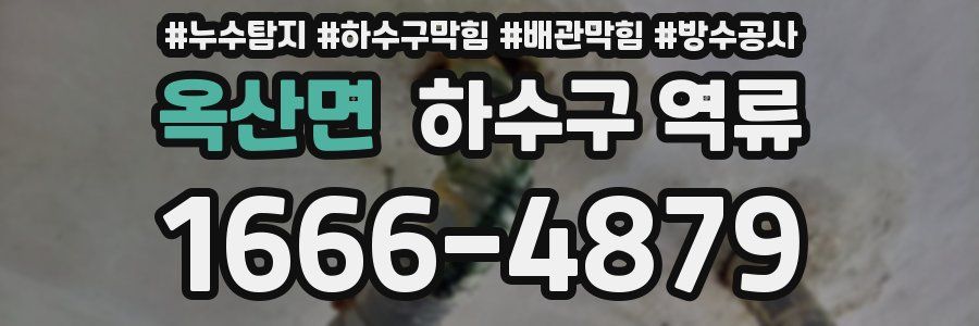 옥산면 하수구 역류