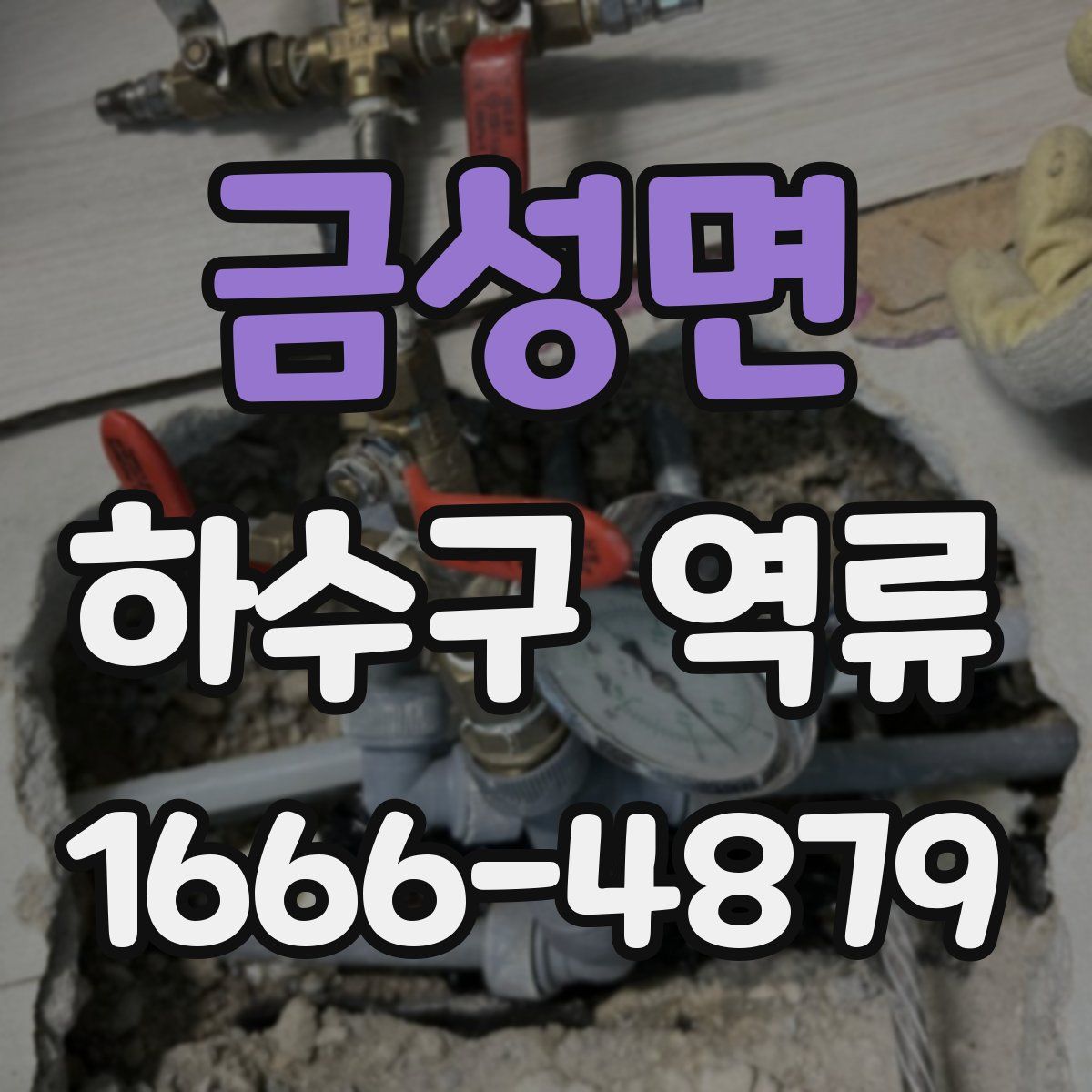 금성면 하수구 역류