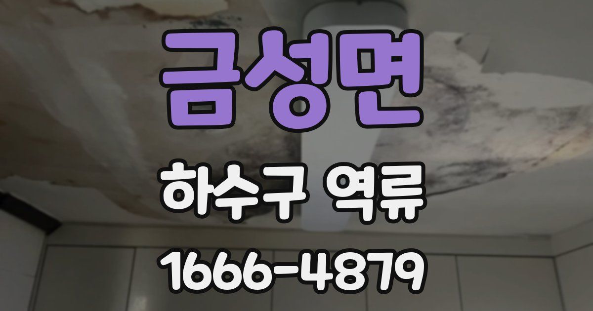 금성면 하수구 역류
