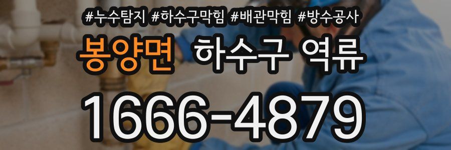 봉양면 하수구 역류