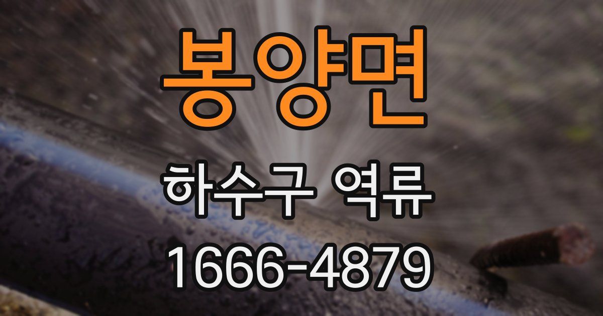 봉양면 하수구 역류