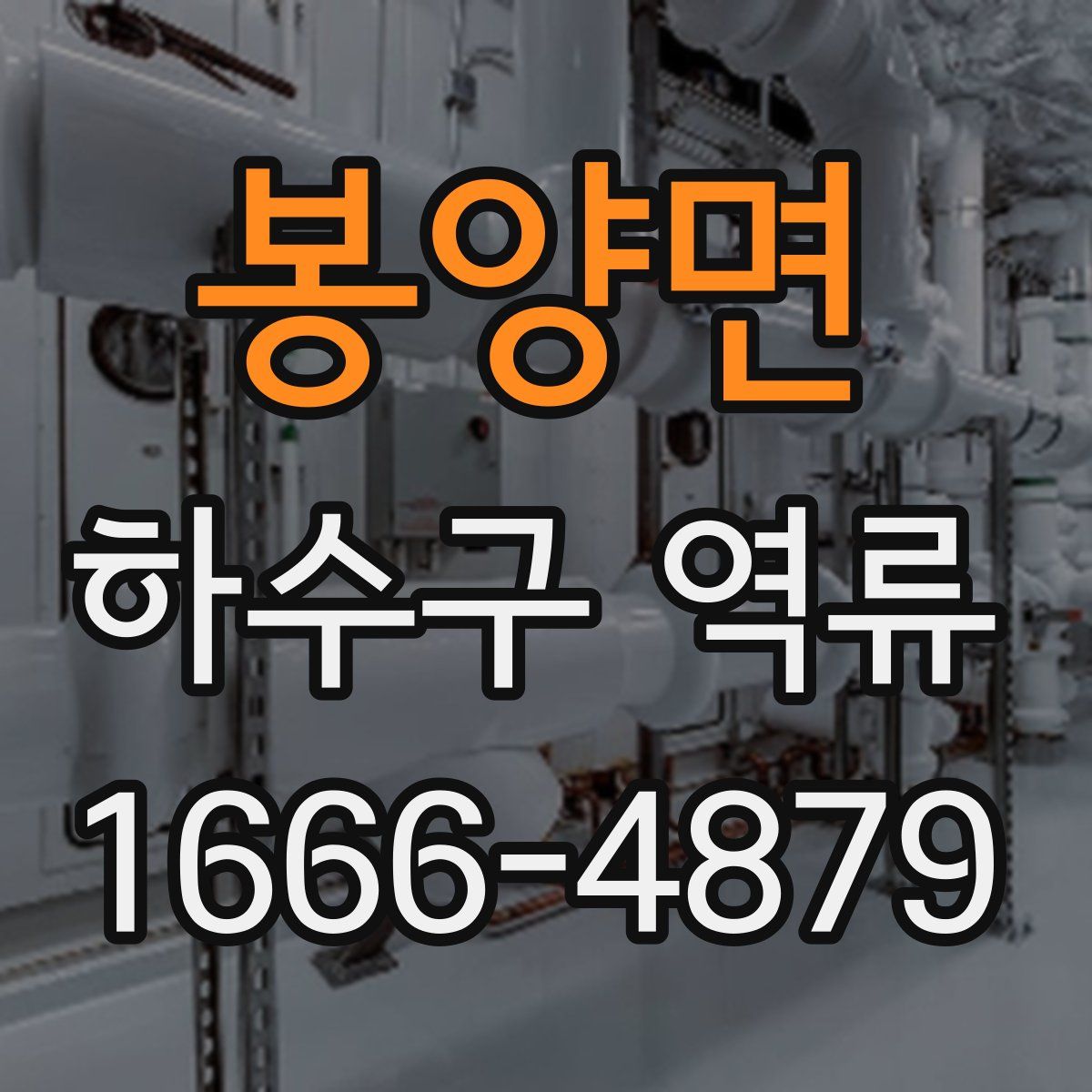 봉양면 하수구 역류