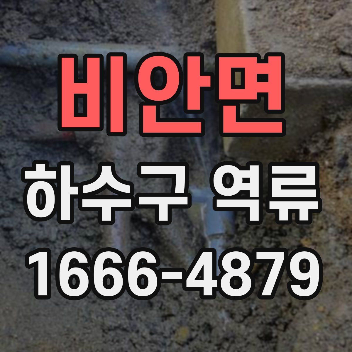 비안면 하수구 역류