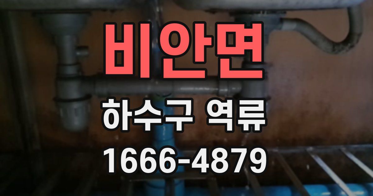 비안면 하수구 역류