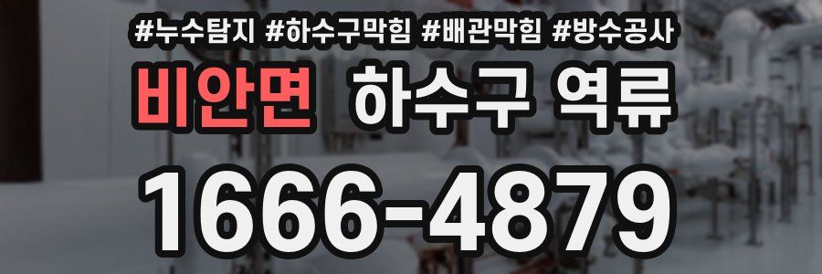 비안면 하수구 역류