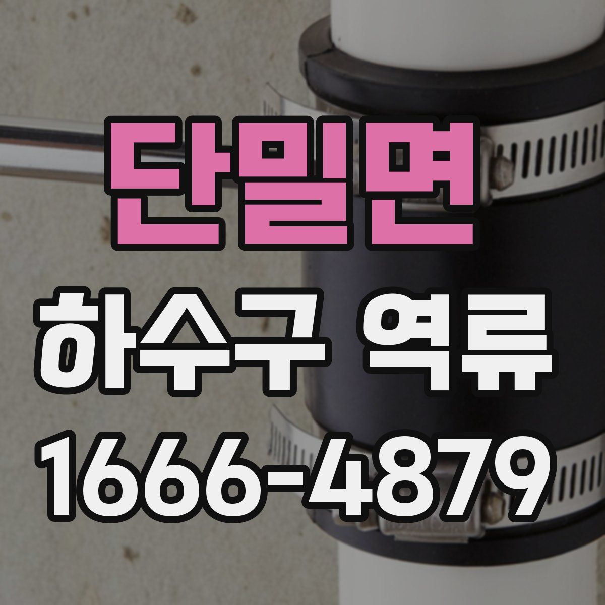 단밀면 하수구 역류