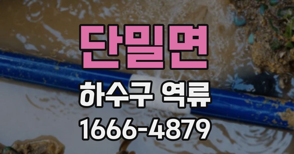 단밀면 하수구 역류