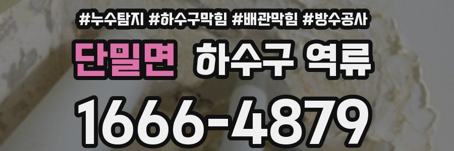 단밀면 하수구 역류