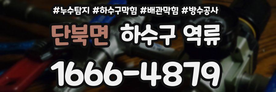 단북면 하수구 역류
