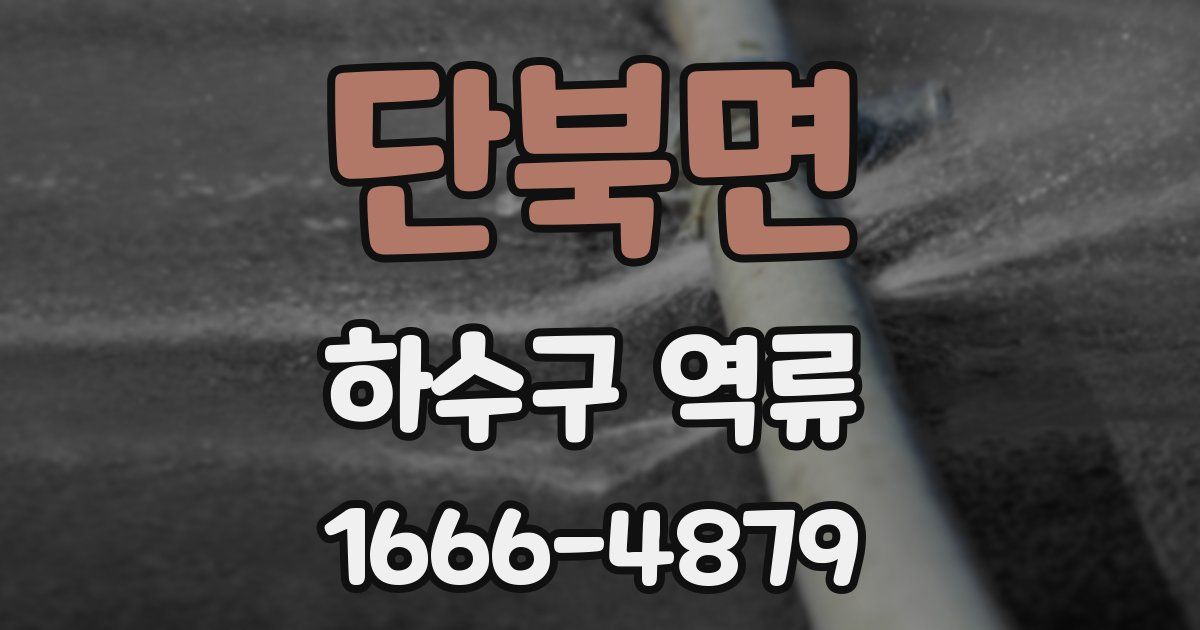 단북면 하수구 역류